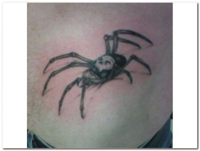 Animal tattoos, Insects tattoos, Spider tattoos, Tattoos of Animal, Tattoos of Insects, Tattoos of Spider, Animal tats, Insects tats, Spider tats, Animal free tattoo designs, Insects free tattoo designs, Spider free tattoo designs, Animal tattoos picture, Insects tattoos picture, Spider tattoos picture, Animal pictures tattoos, Insects pictures tattoos, Spider pictures tattoos, Animal free tattoos, Insects free tattoos, Spider free tattoos, Animal tattoo, Insects tattoo, Spider tattoo, Animal tattoos idea, Insects tattoos idea, Spider tattoos idea, Animal tattoo ideas, Insects tattoo ideas, Spider tattoo ideas, 3D spider tattoos image