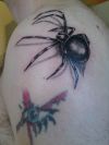 3D spider tattoo pic