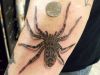3D spider tattoo pics