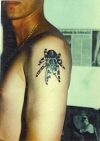 3D spider pic tattoos