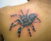 3D spider pics tattoos