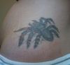 3D spider tattoo on shouder