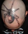 spider tattoo on head