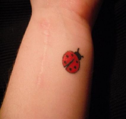 Ladybug Images Tattoos