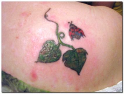 Ladybug And Leaf Tattoo On Shoulder