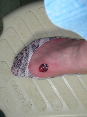 Ladybug Tattoo Pics