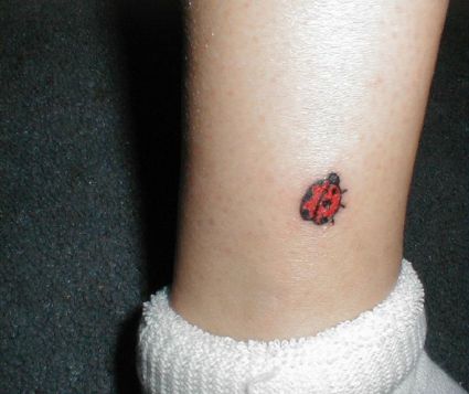 Ladybug Image Tattoo On Leg