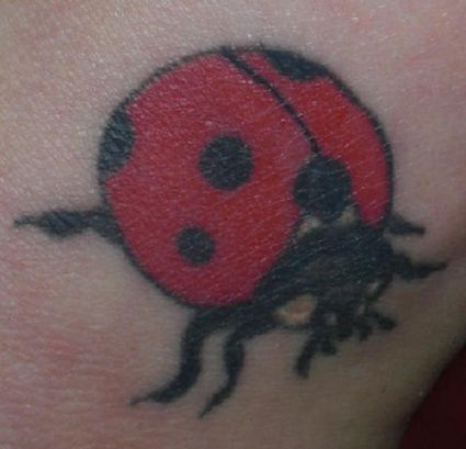 Ladybug Images Tattoo
