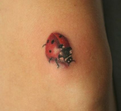 Ladybug Pic Tattoo