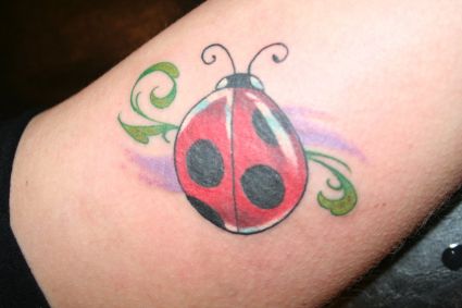 Ladybug Pics Tattoo On Arm