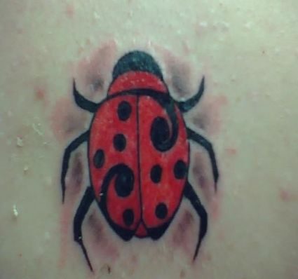 Ladybug Pics Tattoo