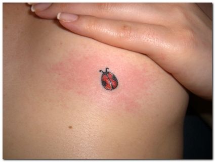 Ladybug Picture Tattoo