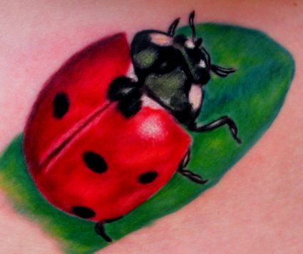 3D Ladybug Tattoos