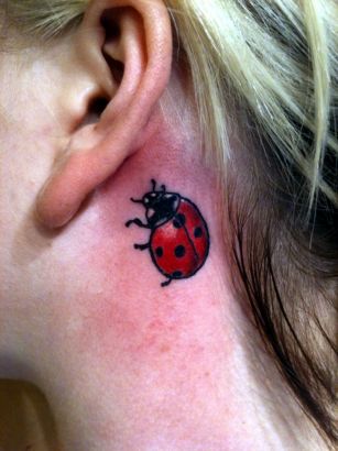 Ladybug Pics Tattoo