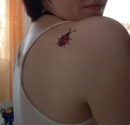 Ladybug Tattoos Design