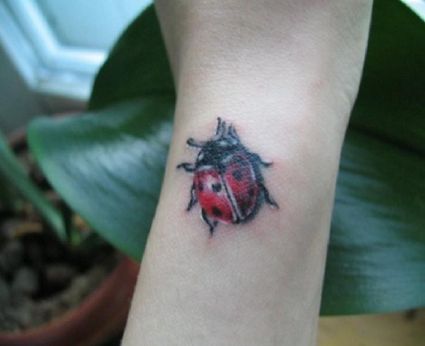 Ladybug Tattoo Picture