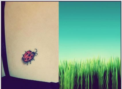 Ladybug Tattoo Pictures