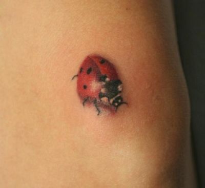 Animal tattoos, Insects tattoos, ladybug tattoos, Tattoos of Animal, Tattoos of Insects, Tattoos of ladybug, Animal tats, Insects tats, ladybug tats, Animal free tattoo designs, Insects free tattoo designs, ladybug free tattoo designs, Animal tattoos picture, Insects tattoos picture, ladybug tattoos picture, Animal pictures tattoos, Insects pictures tattoos, ladybug pictures tattoos, Animal free tattoos, Insects free tattoos, ladybug free tattoos, Animal tattoo, Insects tattoo, ladybug tattoo, Animal tattoos idea, Insects tattoos idea, ladybug tattoos idea, Animal tattoo ideas, Insects tattoo ideas, ladybug tattoo ideas, ladybug pic tattoo