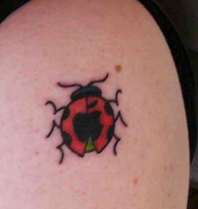 Animal tattoos, Insects tattoos, ladybug tattoos, Tattoos of Animal, Tattoos of Insects, Tattoos of ladybug, Animal tats, Insects tats, ladybug tats, Animal free tattoo designs, Insects free tattoo designs, ladybug free tattoo designs, Animal tattoos picture, Insects tattoos picture, ladybug tattoos picture, Animal pictures tattoos, Insects pictures tattoos, ladybug pictures tattoos, Animal free tattoos, Insects free tattoos, ladybug free tattoos, Animal tattoo, Insects tattoo, ladybug tattoo, Animal tattoos idea, Insects tattoos idea, ladybug tattoos idea, Animal tattoo ideas, Insects tattoo ideas, ladybug tattoo ideas, ladybug tattoos images