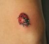 ladybug pic tattoo