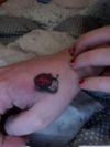 ladybug tattoo on back of palm