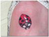 ladybug tattoos picture