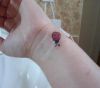 ladybug wrist tattoos