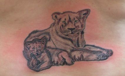 Lion And Cub Tattoo 