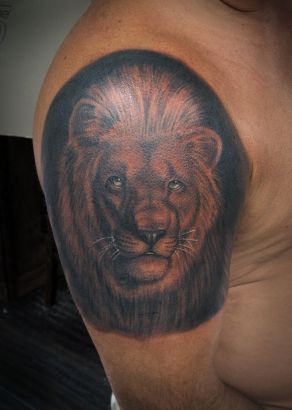 Lion Head Image Tattoo On Arm