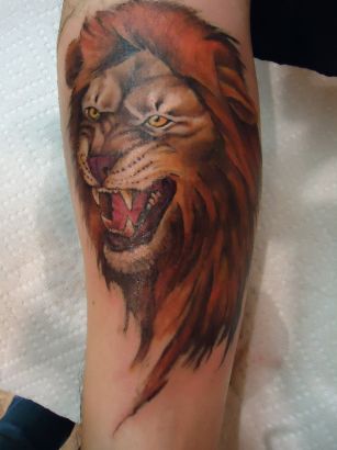 Lion Head Images Tattoo On Arm