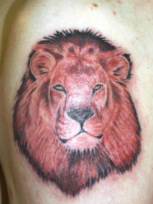 Lion Head Image Tattoos