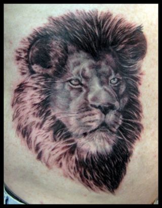 Lion Head Pics Of Tattoos