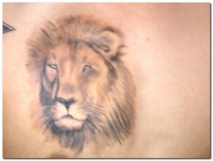 Lion Head Picture Tattoo