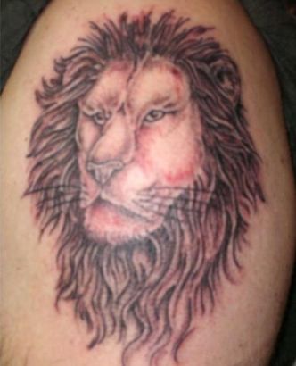 Lion Head Pictures Tattoo