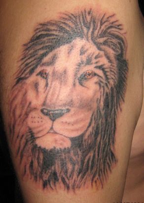 Lion Head Tattoo Images On Arm