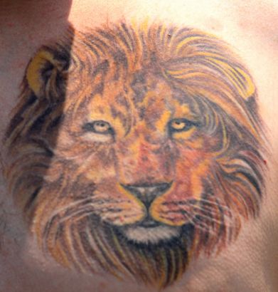 Lion Head Tattoo Pics
