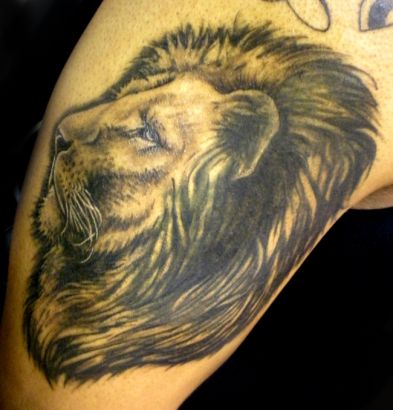 Lion Head Tattoos Images On Arm