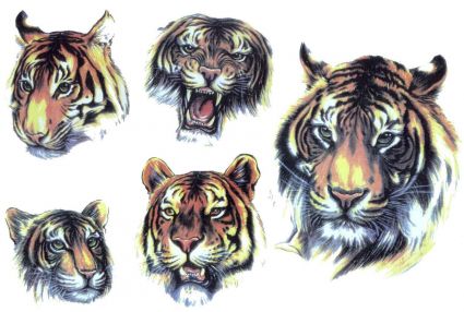 Lion Face Tat