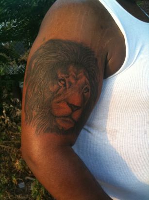 Lion Tattoos Images