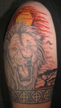 Lion Tattoos Pics Design 