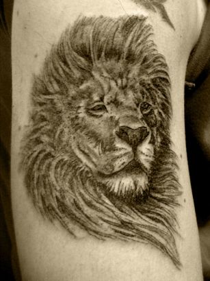 Lion Tattoo Picture On Arm