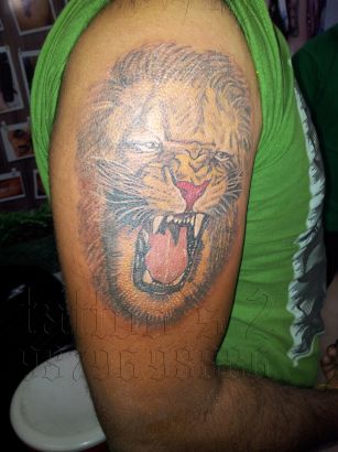 Lion Tattoo