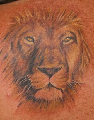 Animal tattoos, Lion tattoos, Tattoos of Animal, Tattoos of Lion, Animal tats, Lion tats, Animal free tattoo designs, Lion free tattoo designs, Animal tattoos picture, Lion tattoos picture, Animal pictures tattoos, Lion pictures tattoos, Animal free tattoos, Lion free tattoos, Animal tattoo, Lion tattoo, Animal tattoos idea, Lion tattoos idea, Animal tattoo ideas, Lion tattoo ideas, lion head image tattoos