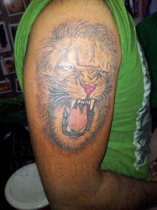 Animal tattoos, Lion tattoos, Tattoos of Animal, Tattoos of Lion, Animal tats, Lion tats, Animal free tattoo designs, Lion free tattoo designs, Animal tattoos picture, Lion tattoos picture, Animal pictures tattoos, Lion pictures tattoos, Animal free tattoos, Lion free tattoos, Animal tattoo, Lion tattoo, Animal tattoos idea, Lion tattoos idea, Animal tattoo ideas, Lion tattoo ideas, lion tattoo