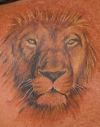 lion head image tattoos