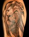 lion head pic tattoos
