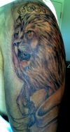 lion head pictures tattoos 