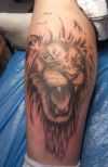 lion head tattoo on calf