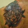 lion head tattoo on left shoulder blade