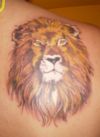 lion head tattoo on right shoulder blade